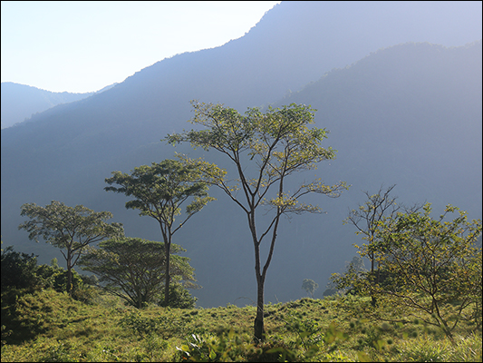 <strong>Camino a Ciudad Perdida</strong><br /> <br /><em>♫ Chick Corea & Gary Burton - Crystal Silence - What Game Shall We Play Today.mp3 </em>