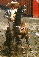 charreada