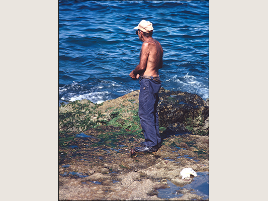 <strong>Venerdì pesce... forse!</strong><br /> <br /><em>♫ Polo Montañez - Guajiro Natural - Guajiro Natural.mp3</em>