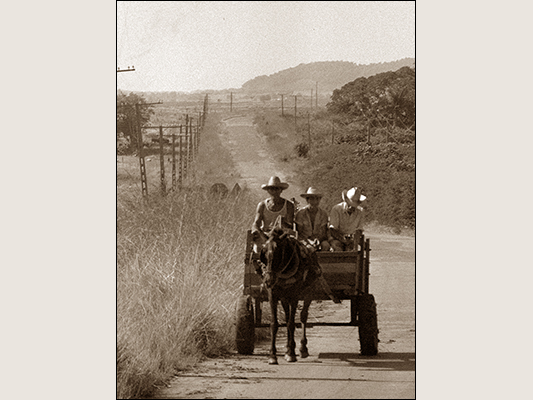<strong>Trasporti a Villa Clara</strong><br /> <br /><em>♫ Polo Montañez - Guajiro Natural - Guajiro Natural.mp3</em>