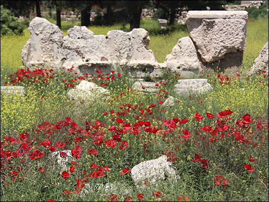 <strong>Sito di Baalbek</strong><br /><br /><em>♫ Chick Corea & Gary Burton - Crystal Silence - Senor Mouse.mp3</em>