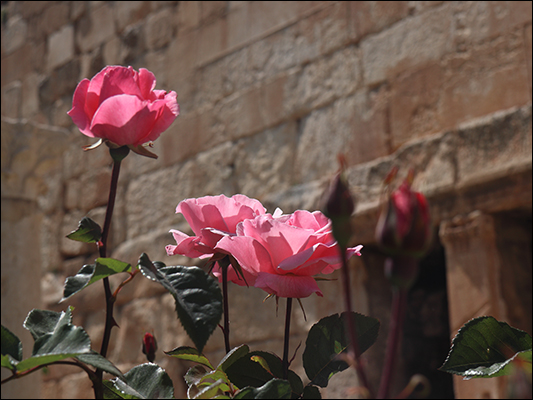 <strong>Tempio di Bacco a Baalbek</strong><br /><br /><em>♫ Chick Corea & Gary Burton - Crystal Silence - Senor Mouse.mp3</em>