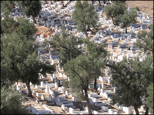 <strong>Cimitero sotto gli ulivi a Fèz</strong><br /> <br /><em>♫ Moktar Gania & Gnawa Soul - Kouyou Kouyou.mp3</em>