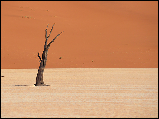 <strong>Namib-Naukluft National Park - Deadvlei</strong><br /> <br /><em>♫ Lionel Hampton - Walkman Jazz - The Man I Love.mp3</em>