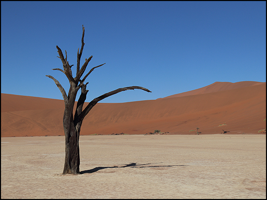 <strong>Deadvlei</strong><br /> <br /><em>♫ Lionel Hampton - Walkman Jazz - The Man I Love.mp3</em>