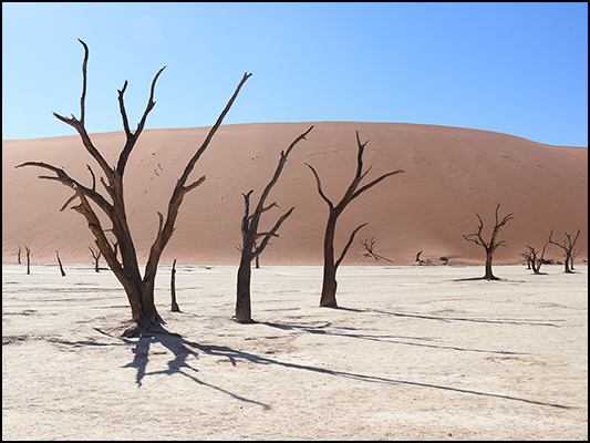 <strong>Deadvlei</strong><br /> <br /><em>♫ Lionel Hampton - Walkman Jazz - The Man I Love.mp3</em>
