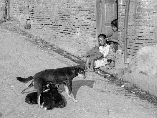 <strong>Bhaktapur - Madri e figli</strong><br /> <br /><em>♫ Lionel Hampton - Walkman Jazz - The Man I Love.mp3</em>