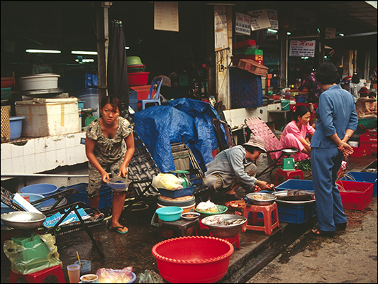 <strong>Mercato del pesce a Ho Chi Minh</strong><br /> <br /><em>♫ Lionel Hampton - Walkman Jazz - The Man I Love.mp3</em>