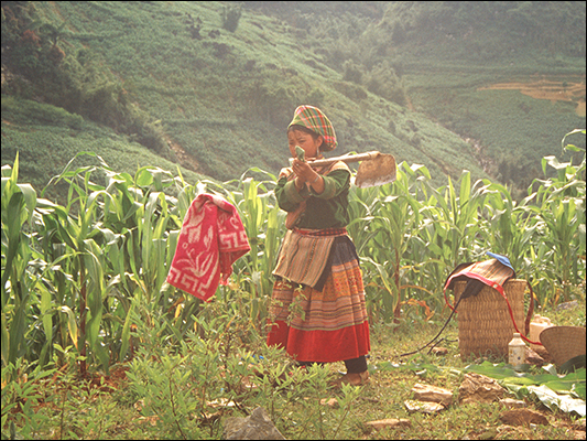<strong>Contadina di etnia Flawer Hmong a Bac Ha</strong><br /> <br /><em>♫ Lionel Hampton - Walkman Jazz - Je Ne Sais Pas.mp3</em>